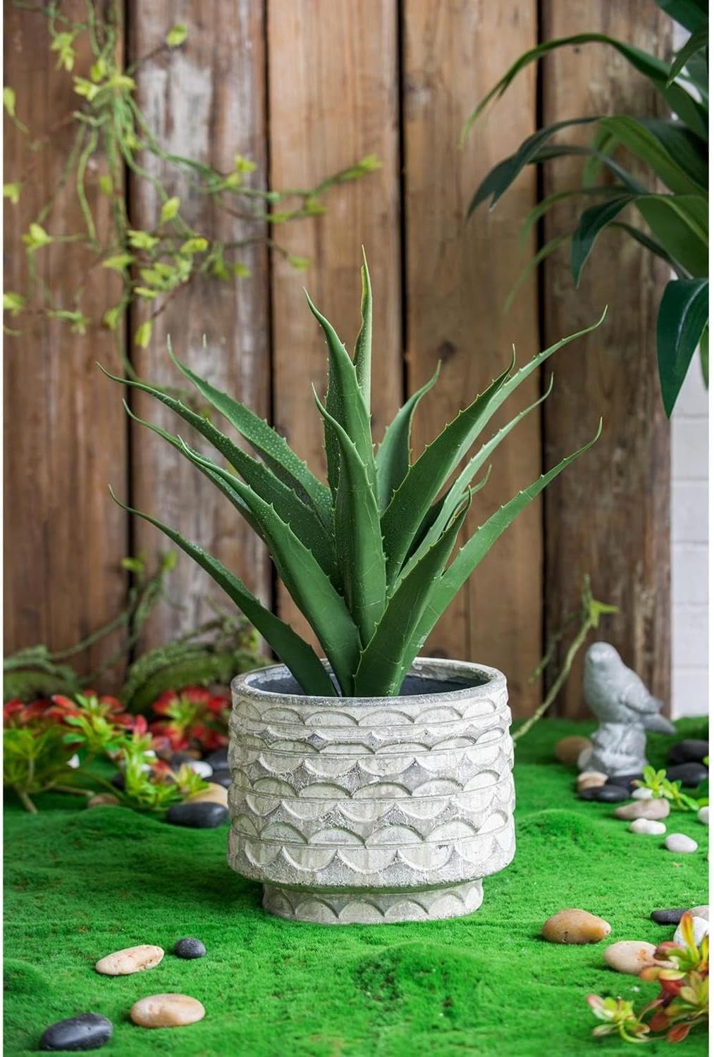 fresh aloe vera gel OxygenCeuticals] Soothing Aloe Vera Gel
